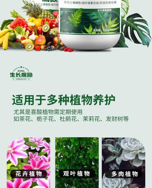 铁线莲施肥应该选择哪种肥料？