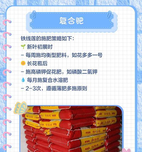 铁线莲施肥应该选择哪种肥料？