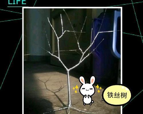 自制铁丝树肥料的正确方法是什么？