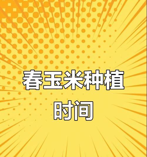 春玉米播种的最佳地点在哪里？