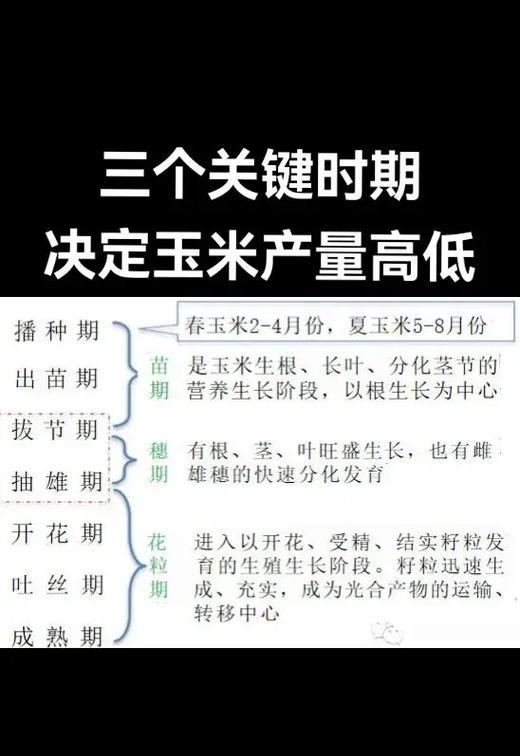 春玉米播种的最佳地点在哪里？