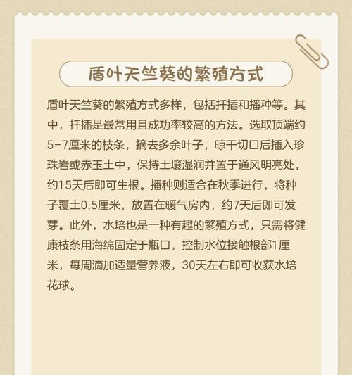 天竺葵叶子黄边是什么原因？如何解决这个问题？