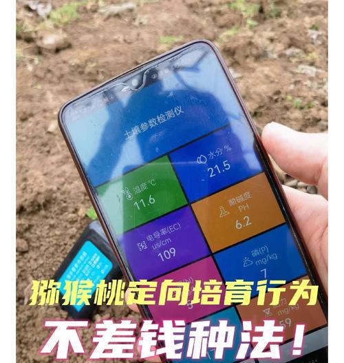 猕猴桃新种植后叶子发黄的原因及解决办法？
