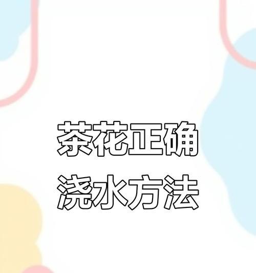 有哪些方法可以让花不需要浇水？