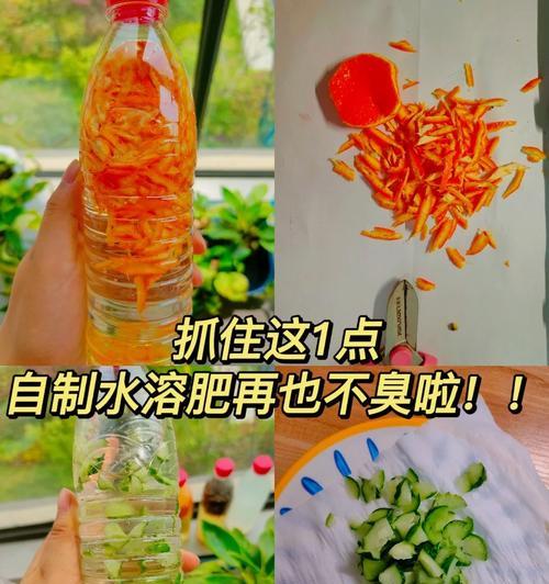 自制肥料稀释比例是多少？