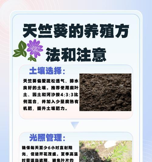 天竺葵下面叶子怎么剪？剪叶后的护理方法是什么？