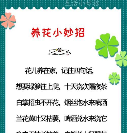 六月养花有哪些实用小技巧？