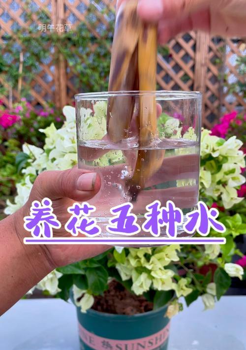 自制干香蕉皮肥料的方法是什么？有何好处？