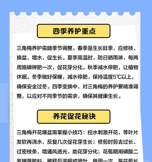 雨季修剪三角梅的正确方法是什么？如何避免病害？