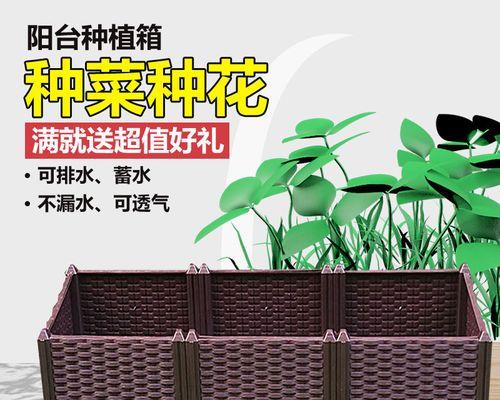 君子兰枝叶固定器的正确使用方法是什么？