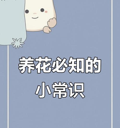家庭养花有哪些实用技巧？如何提高养花的成功率？