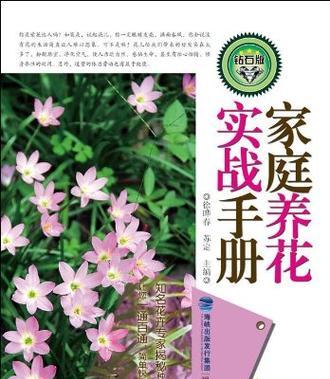 家庭养花有哪些实用技巧？如何提高养花的成功率？