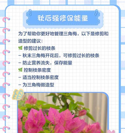 三角梅修剪以促进生长的方法是什么？