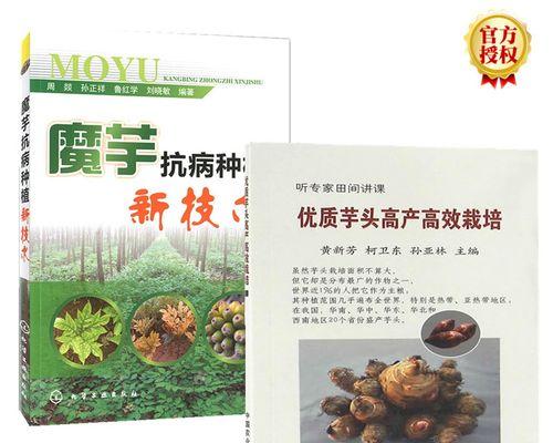 优质芋头栽培的技术要点是什么？