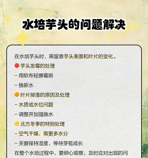 优质芋头栽培的技术要点是什么？