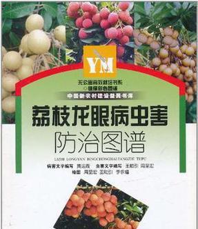 龙眼叶子发黄干枯如何进行补救？
