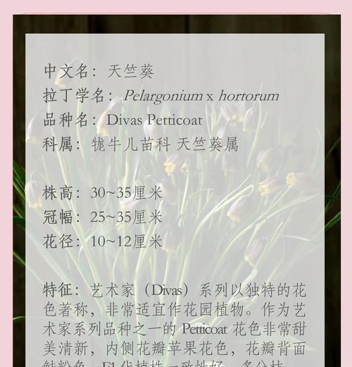 亚马孙天竺葵怎么样？它的生长习性和养护技巧是什么？
