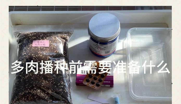 杂交稻播种容器是什么？选择合适的容器对种子有何影响？