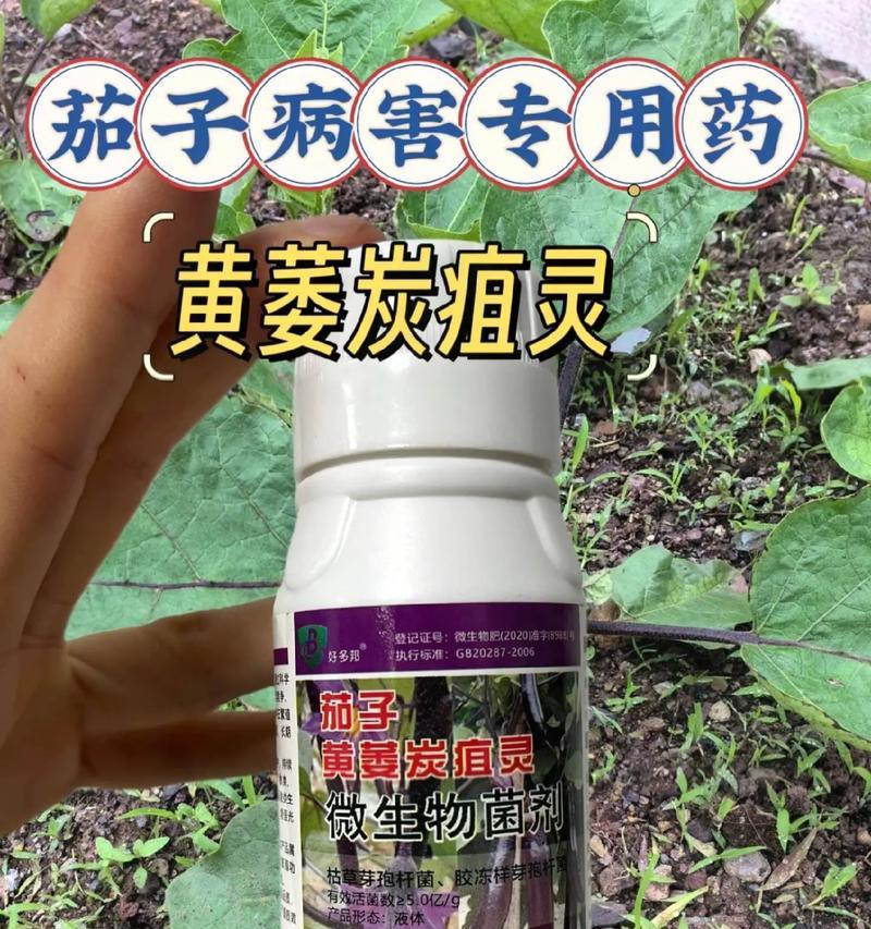 茄子叶子背面发黄的原因及防治措施是什么？