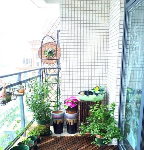 阳台护栏养花什么花？适合在护栏上种植的花卉有哪些？