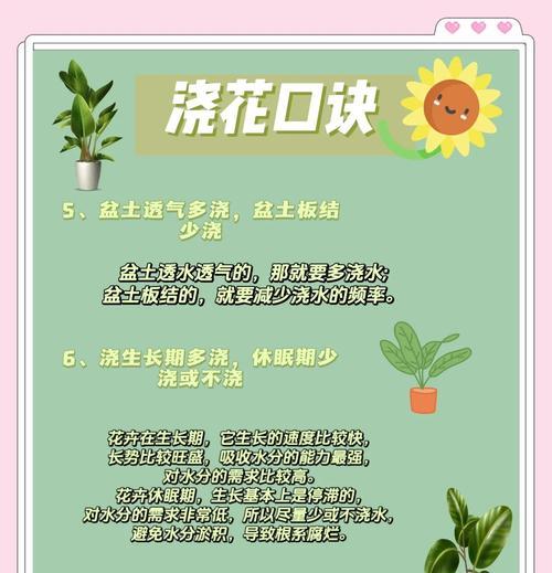 种地时如何有效进行浇水？