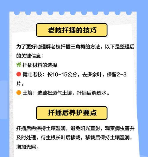 三角梅扦插提高成活率的技巧是什么？