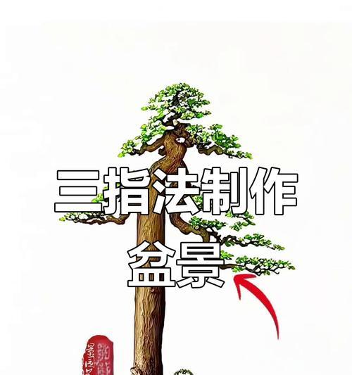 如何将微型盆景养得更加茁壮？