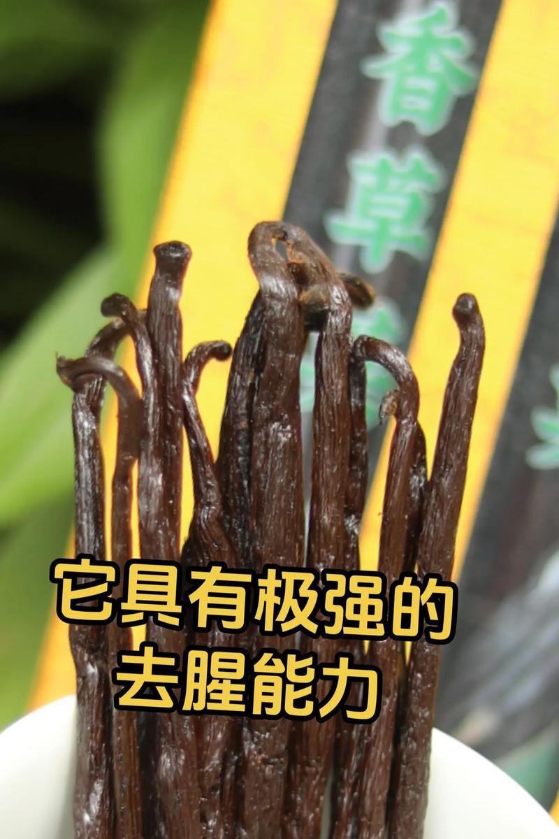 香草荚植物有哪些独特属性？