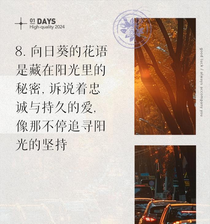 向阳花语有何含义？向阳花象征着什么？