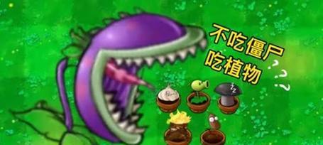 大嘴花象征什么？它的含义是什么？