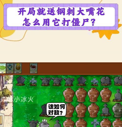 大嘴花象征什么？它的含义是什么？
