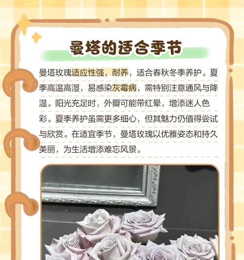 阿曼达花的寓意是什么？阿曼达花在不同场合的使用意义是什么？