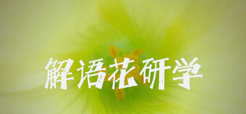 解语花的象征意义是什么？文学和日常用语中解语花的含义是什么？