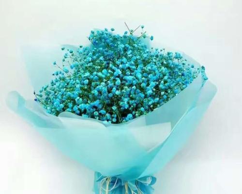 心怡花代表什么含义？心怡花的象征意义是什么？