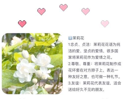 掉落的花朵象征着什么？它们在不同文化中的意义是什么？