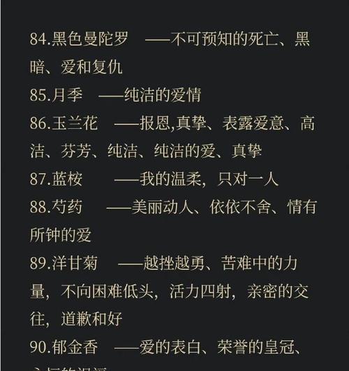 花不落的含义是什么？不凋花的花语有何特别之处？