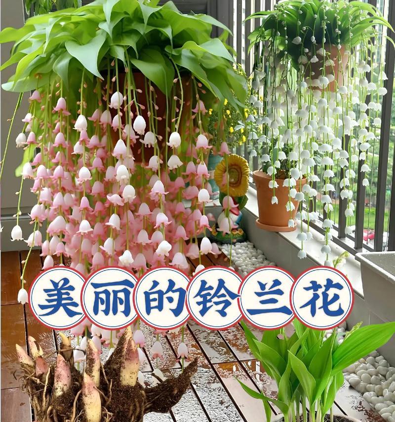 花的深层寓意是什么？花的寓意和象征意义有哪些？