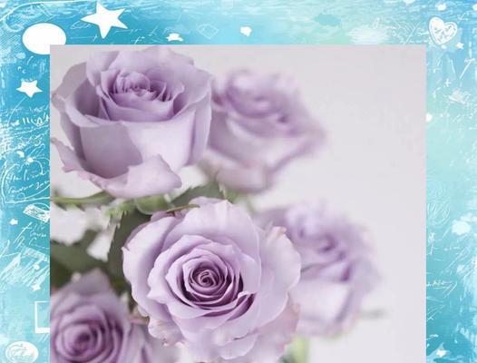 海洋花象征爱情的寓意是什么？
