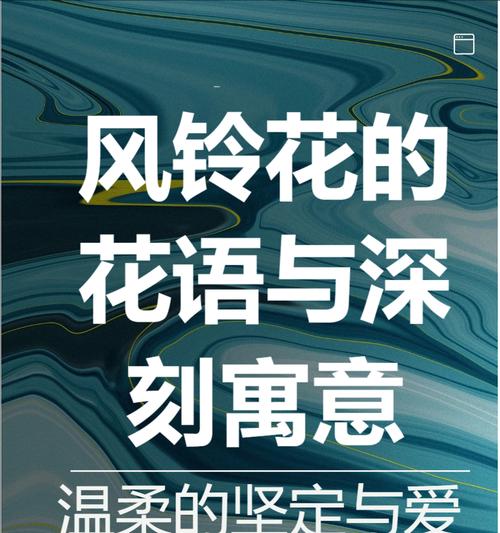 玫瑰花语是什么？爱情与玫瑰的不解之缘。