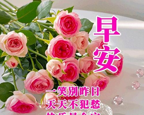 花语晨的特别含义是什么？用花语迎接清晨的方法是什么？