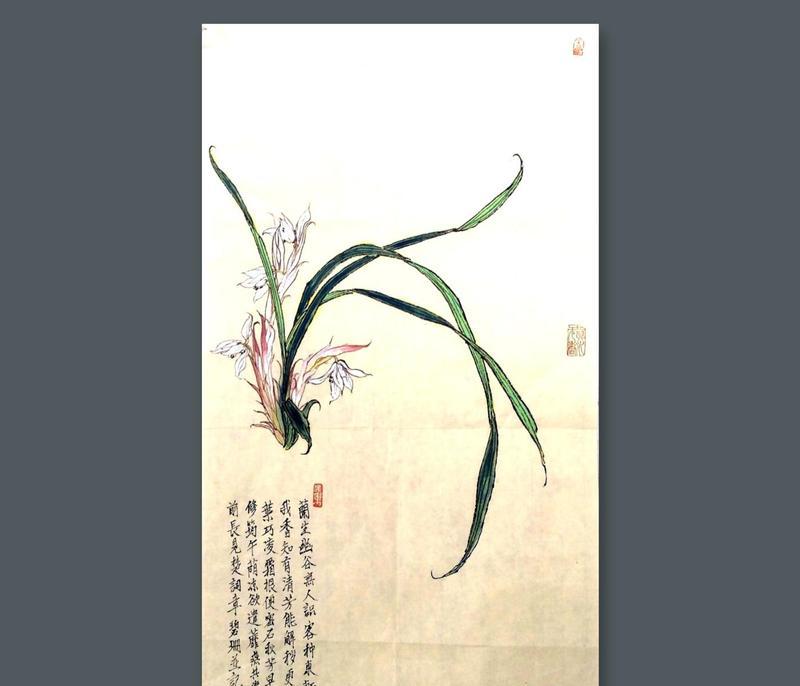 诗句中的花代表什么？它的象征意义是什么？