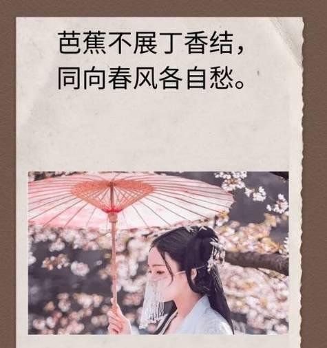 诗句中的花代表什么？它的象征意义是什么？