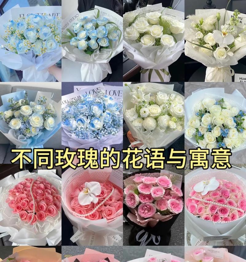 玫瑰的花语寓意是什么？不同颜色玫瑰代表什么？