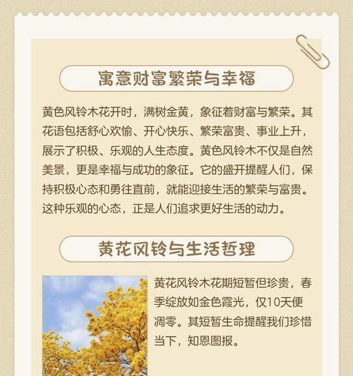 花朵通常有哪些寓意？它们的象征意义是什么？