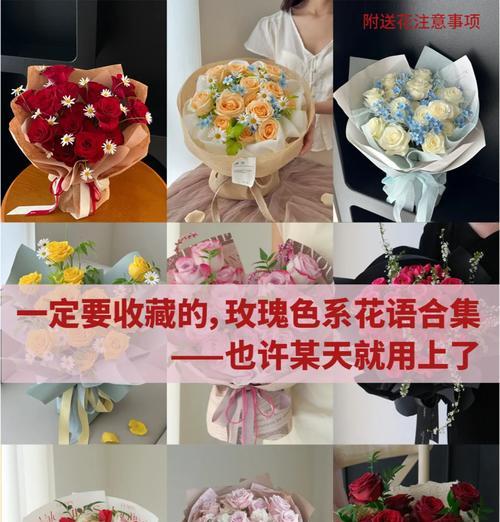一支玫瑰代表什么？它的花语是什么？