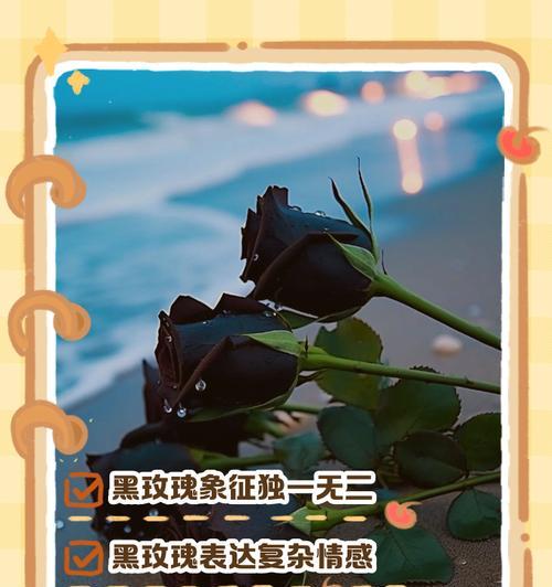 19朵玫瑰的花语含义是什么？
