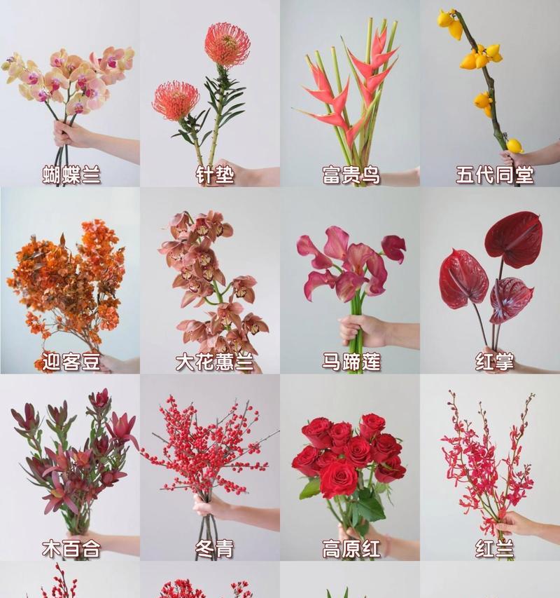 花材的基本知识和寓意是什么？
