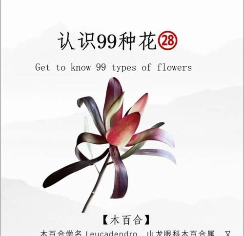 花材的基本知识和寓意是什么？