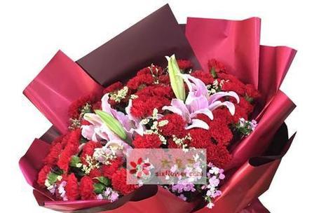 红色康乃馨花语代表的情感是什么？