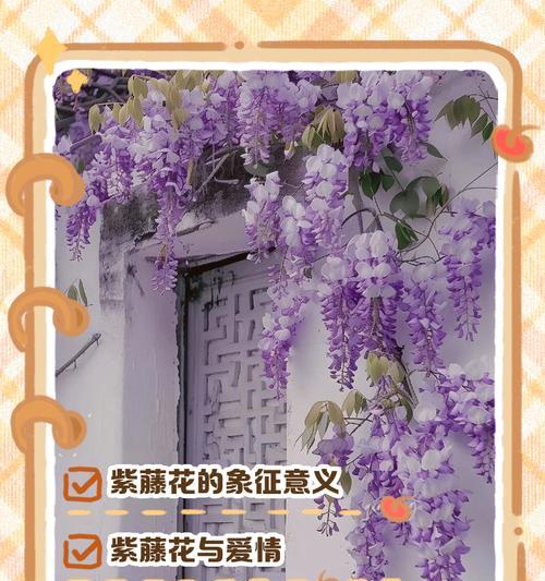 浪漫花的寓意是什么？花卉如何表达浪漫情感？